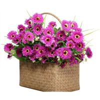 uploads/erp/collection/images/Home Garden/CongDing/XU0610443/img_b/XU0610443_img_b_5
